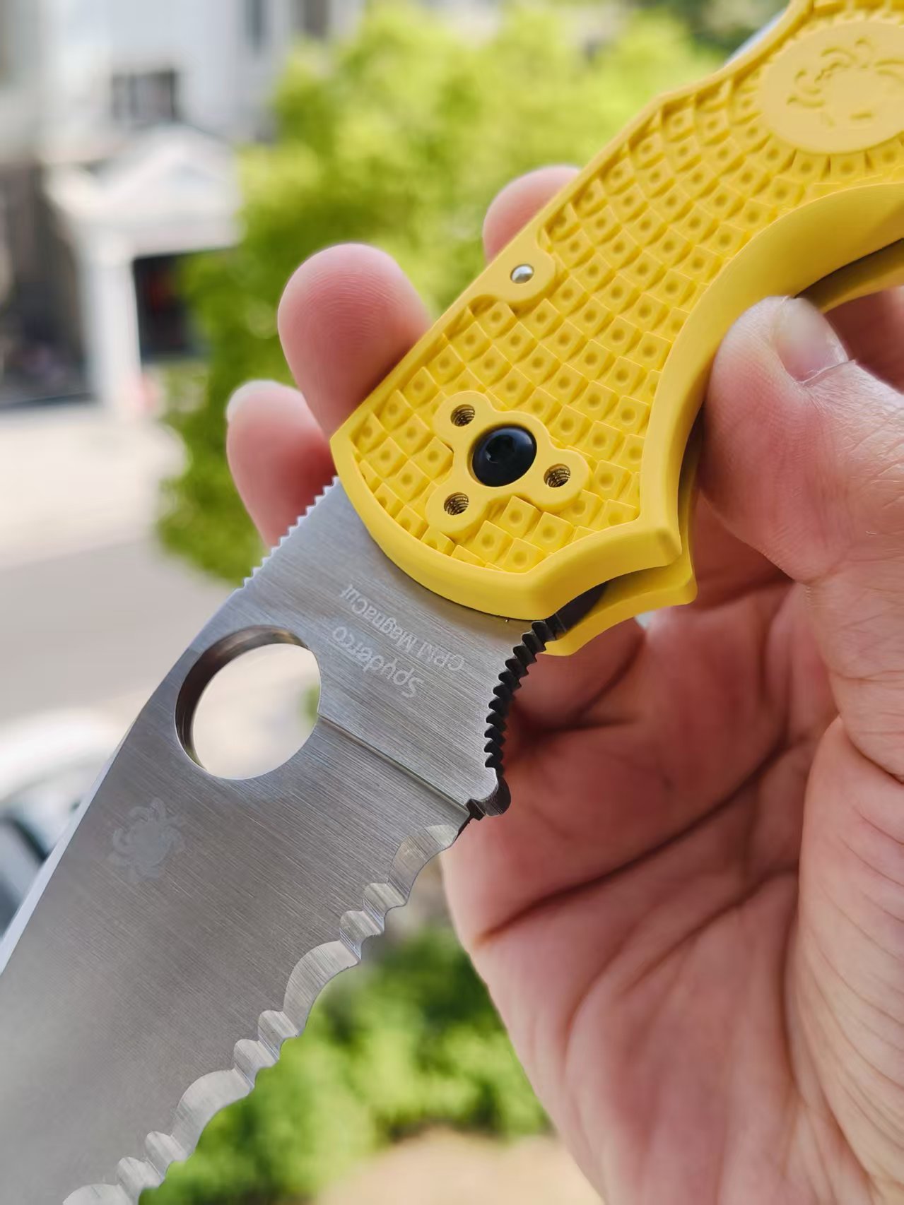 Spyderco C41SYL5 Native 5 CPM-MagnaCut钢  FRN尼龙手柄   黄色 1170