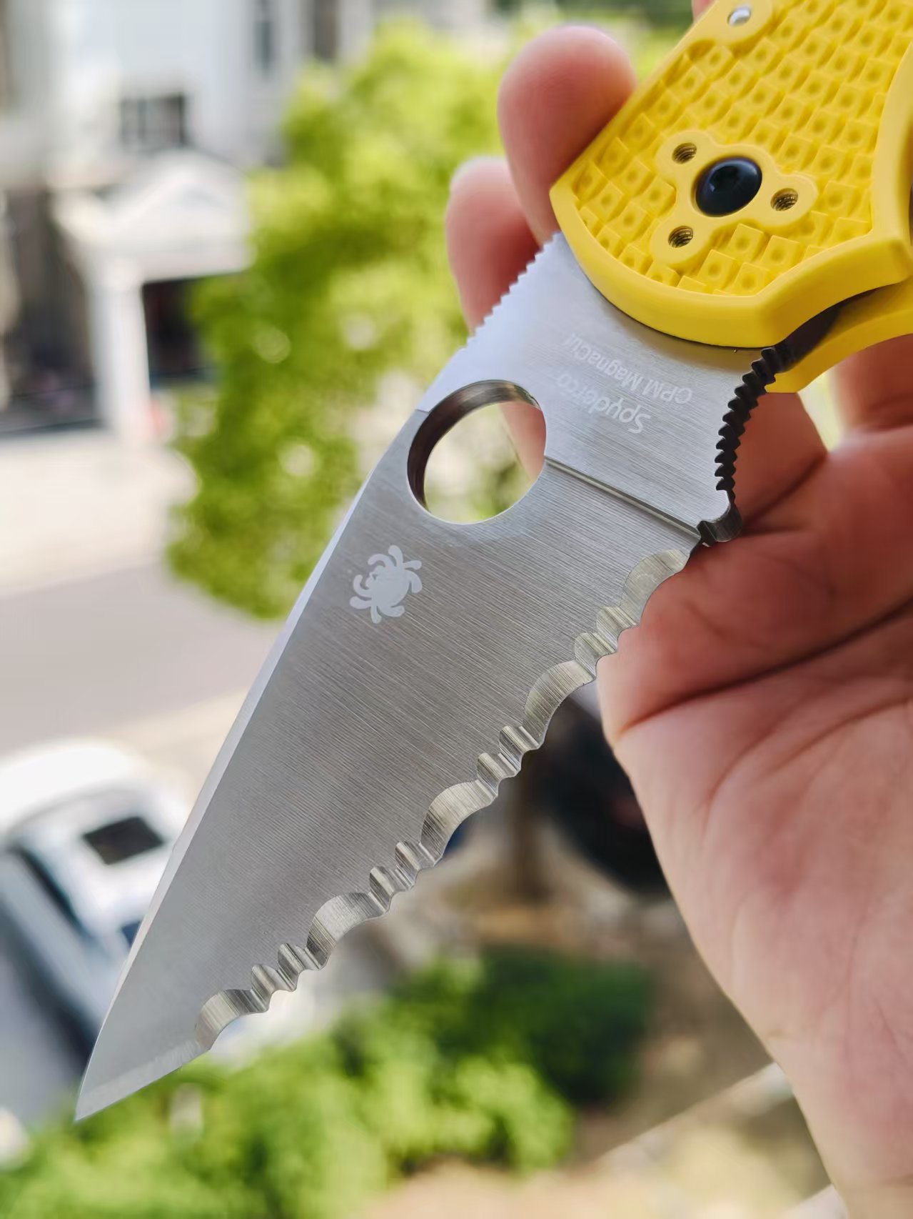 Spyderco C41SYL5 Native 5 CPM-MagnaCut钢  FRN尼龙手柄   黄色 1170