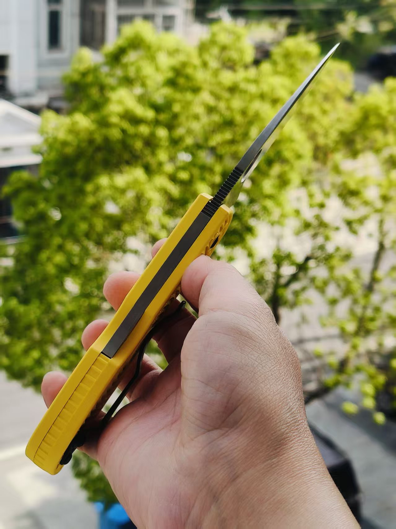 Spyderco C41SYL5 Native 5 CPM-MagnaCut钢  FRN尼龙手柄   黄色 1170