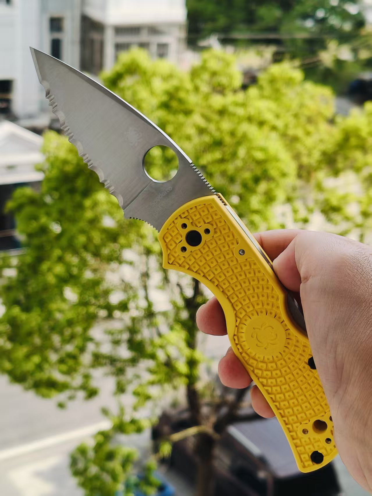 Spyderco C41SYL5 Native 5 CPM-MagnaCut钢  FRN尼龙手柄   黄色 1170