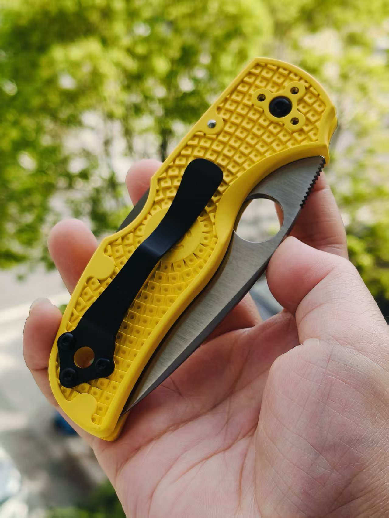 Spyderco C41SYL5 Native 5 CPM-MagnaCut钢  FRN尼龙手柄   黄色 1170