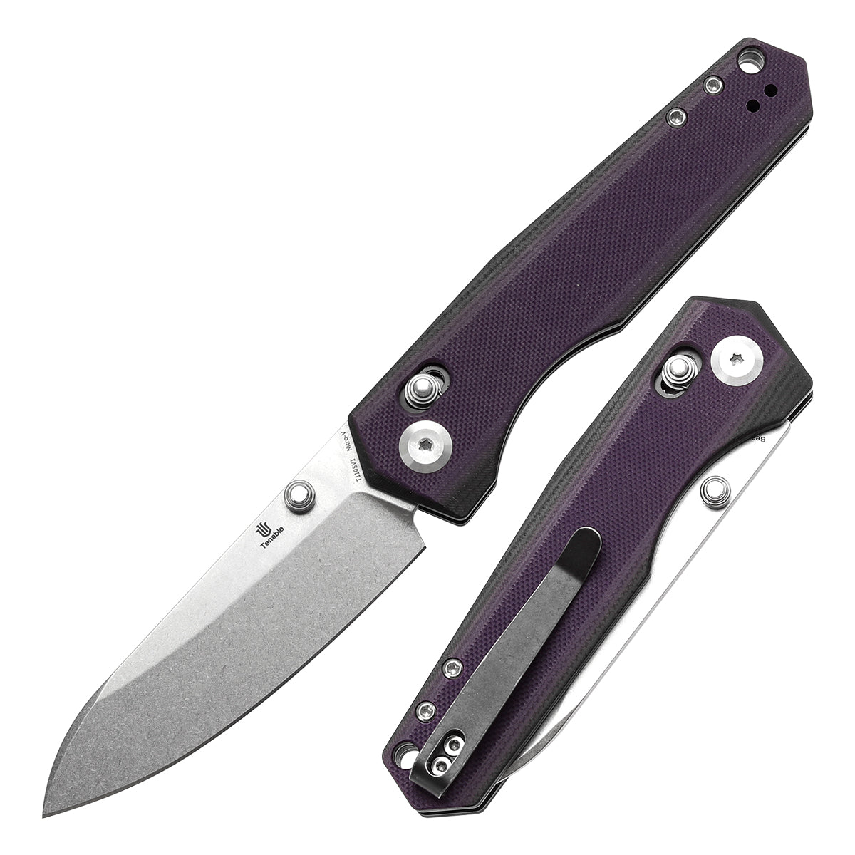 Tenable Beaver  Nitro-V钢 G10手柄 T1105V1 黑紫色 380