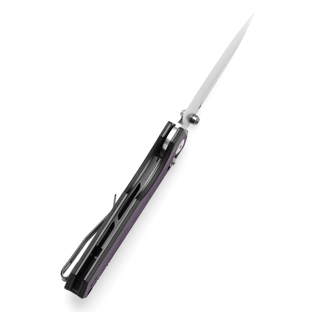 Tenable Beaver  Nitro-V钢 G10手柄 T1105V1 黑紫色 380
