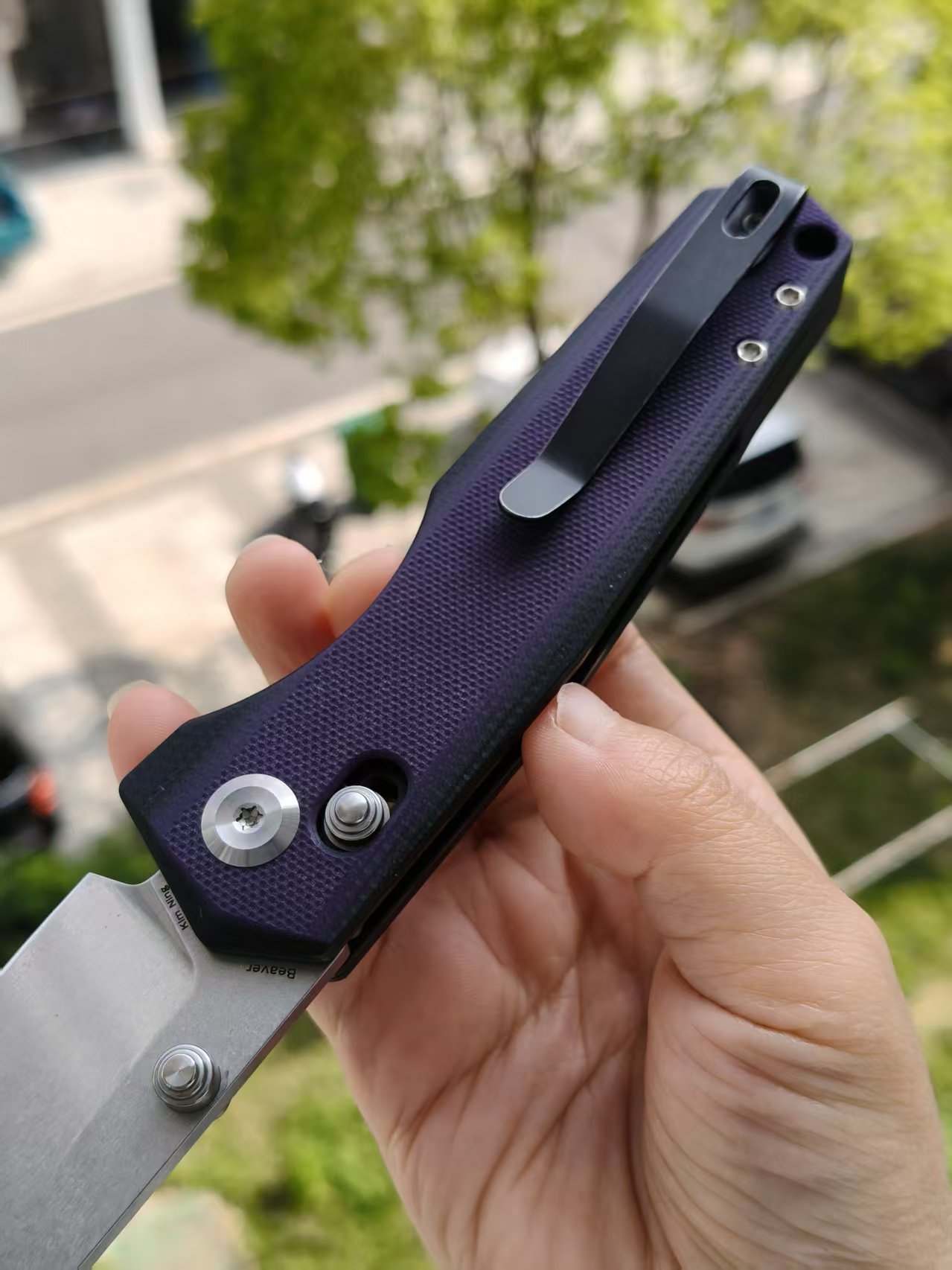Tenable Beaver  Nitro-V钢 G10手柄 T1105V1 黑紫色 380