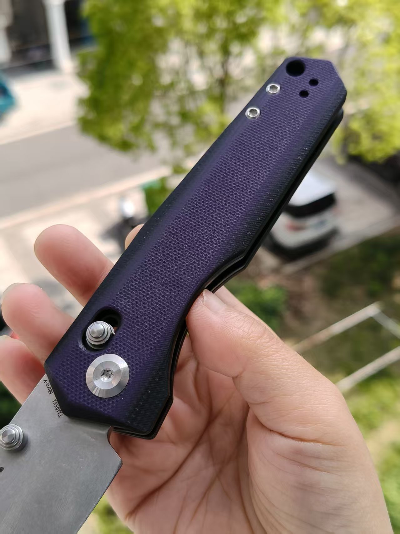 Tenable Beaver  Nitro-V钢 G10手柄 T1105V1 黑紫色 380
