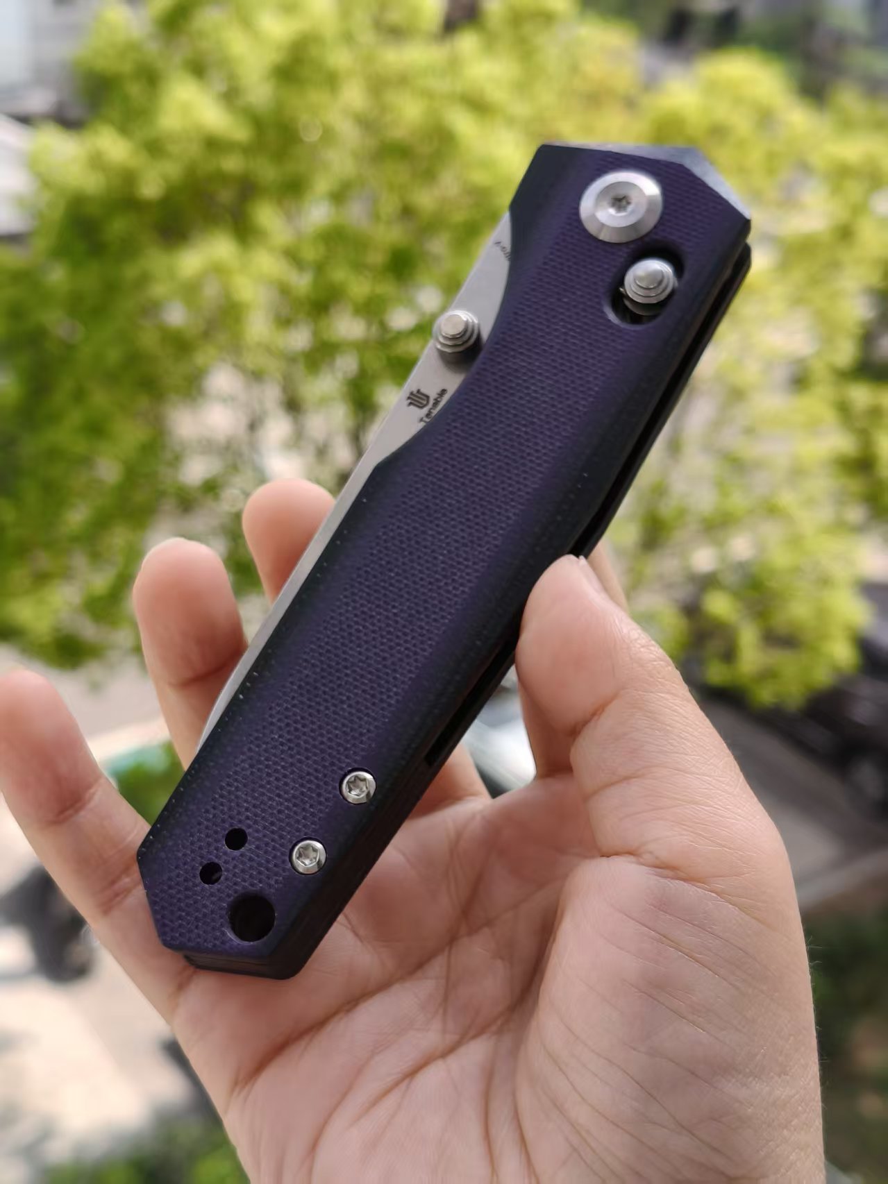 Tenable Beaver  Nitro-V钢 G10手柄 T1105V1 黑紫色 380