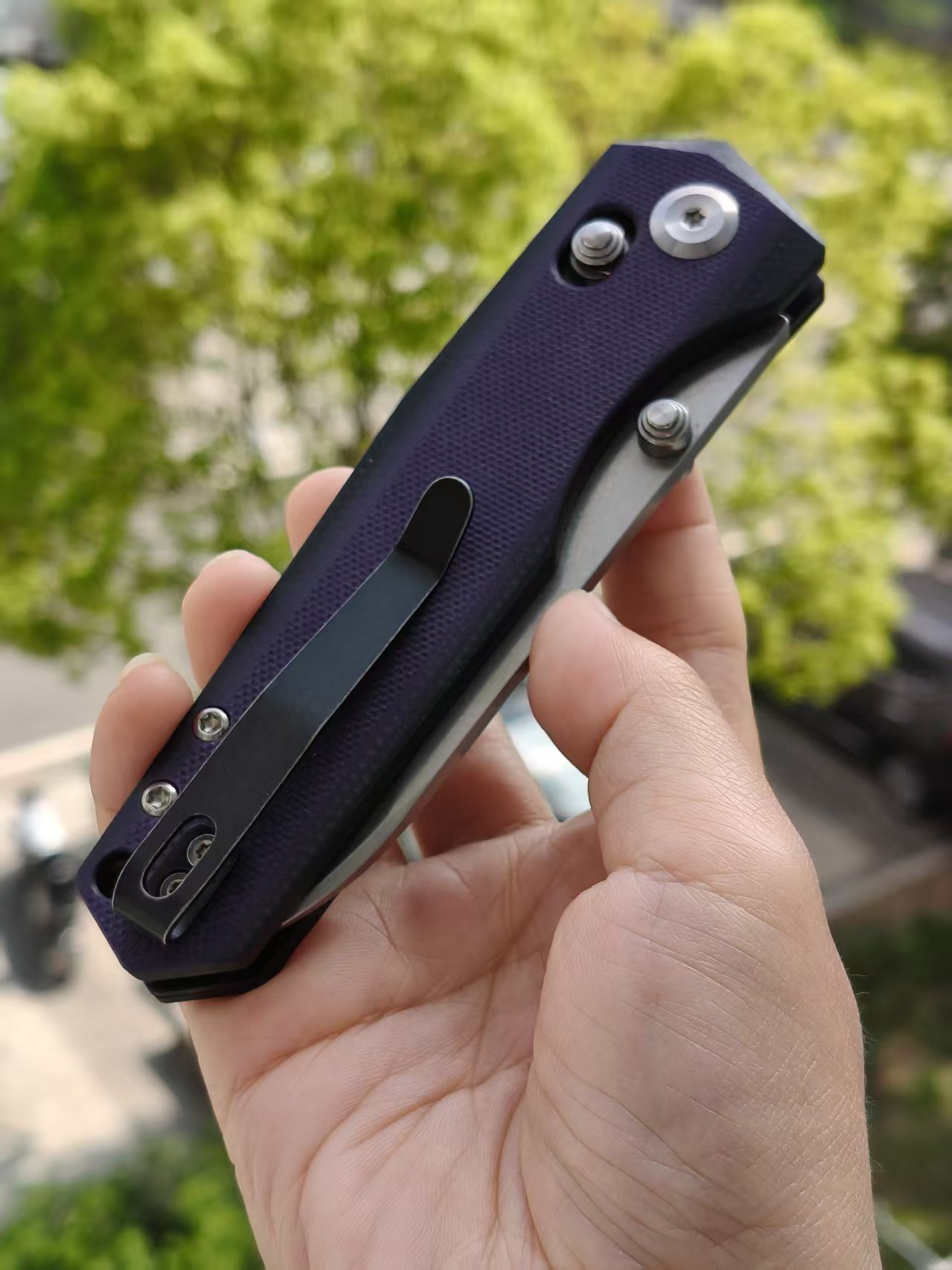 Tenable Beaver  Nitro-V钢 G10手柄 T1105V1 黑紫色 380