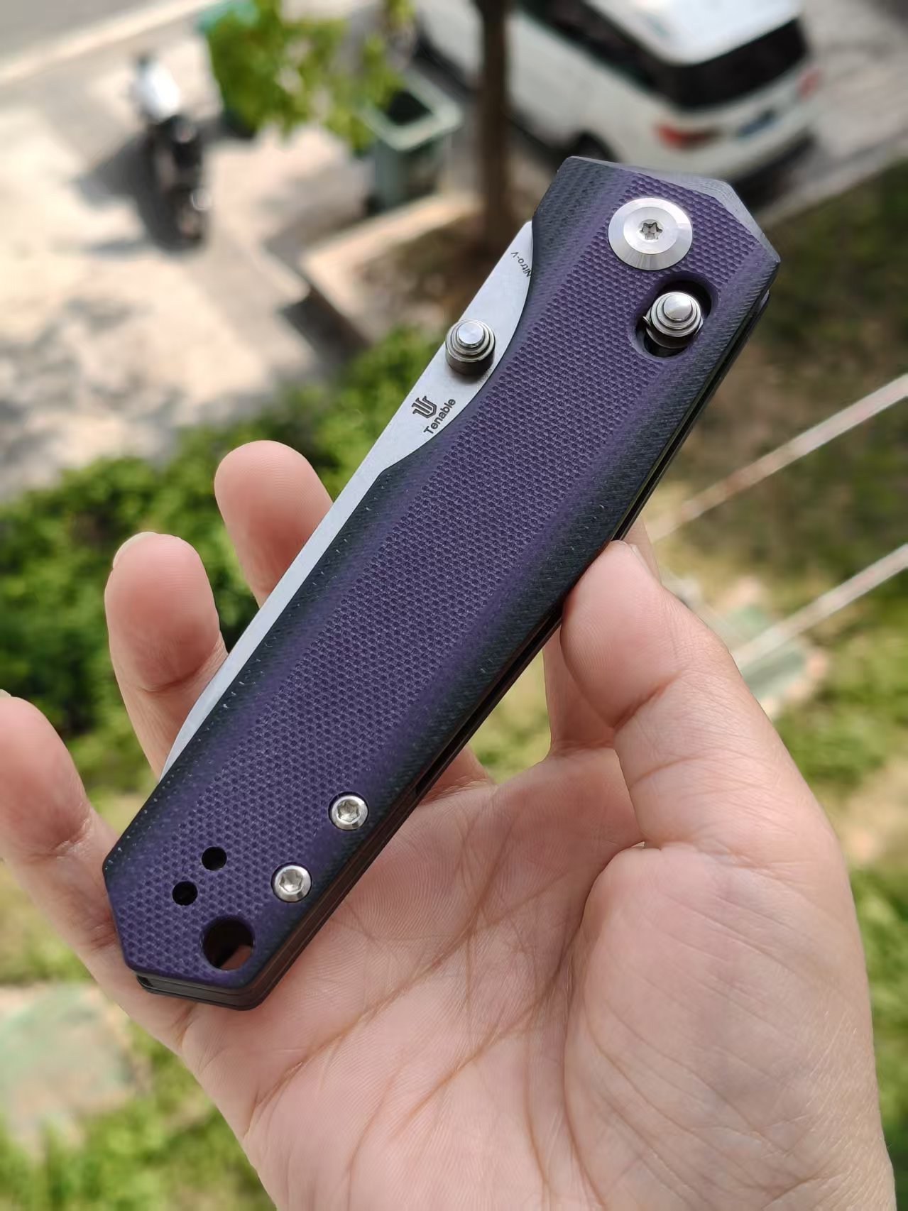 Tenable Beaver  Nitro-V钢 G10手柄 T1105V1 黑紫色 380
