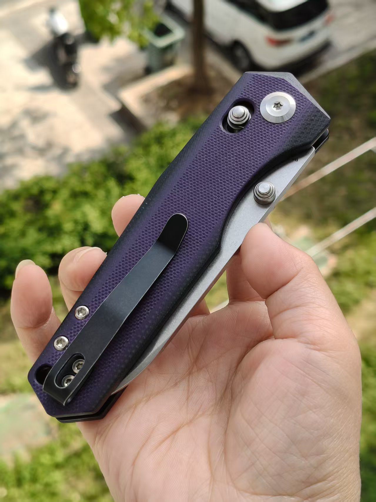 Tenable Beaver  Nitro-V钢 G10手柄 T1105V1 黑紫色 380