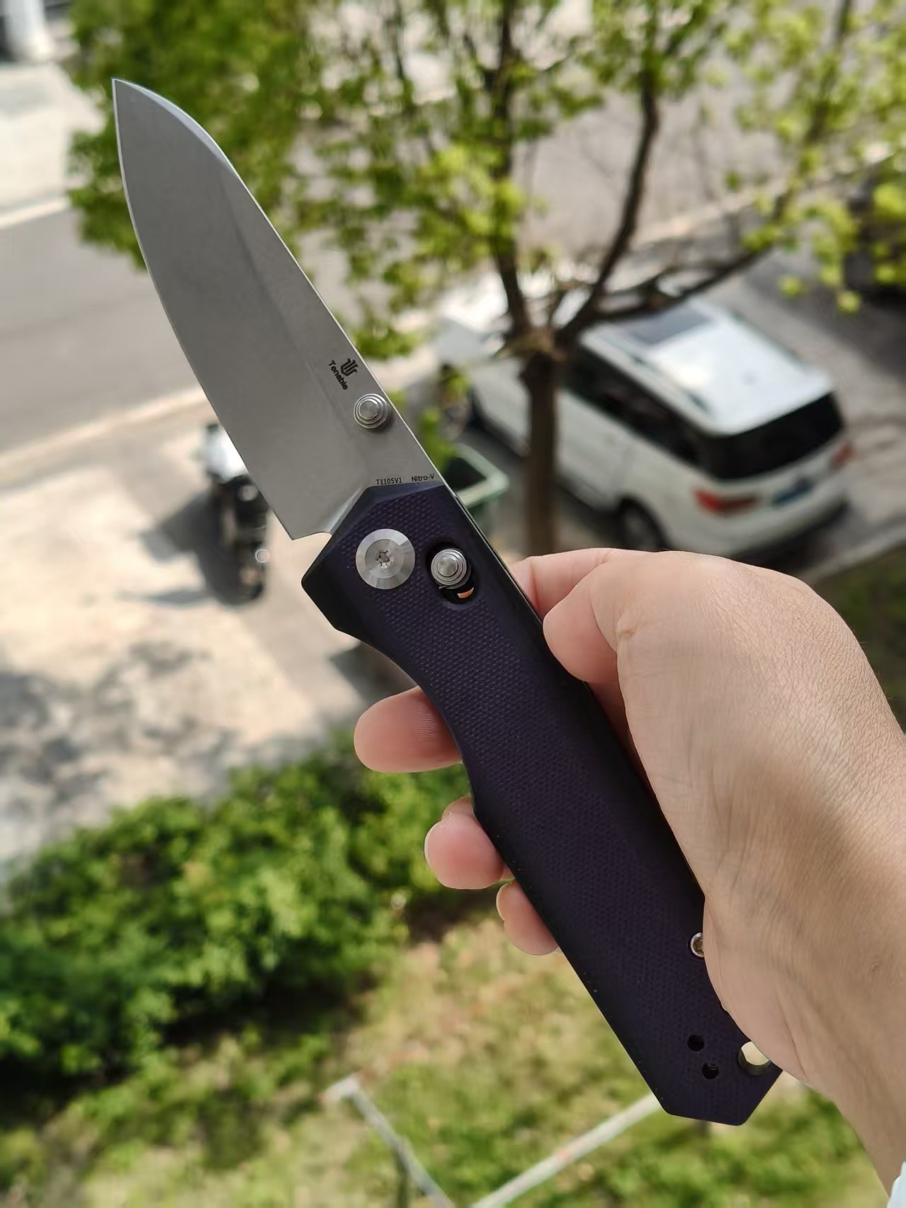 Tenable Beaver  Nitro-V钢 G10手柄 T1105V1 黑紫色 380