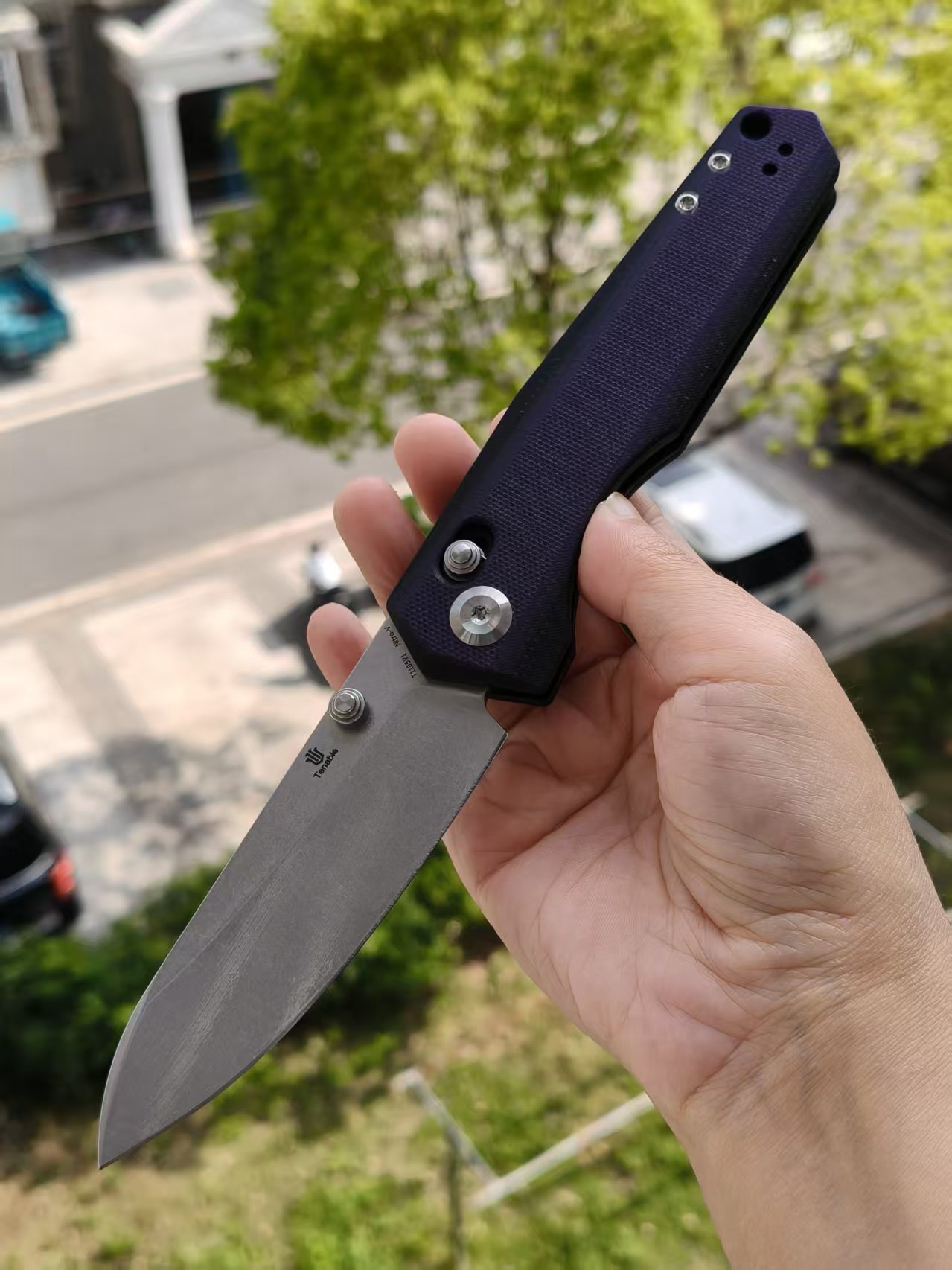 Tenable Beaver  Nitro-V钢 G10手柄 T1105V1 黑紫色 380