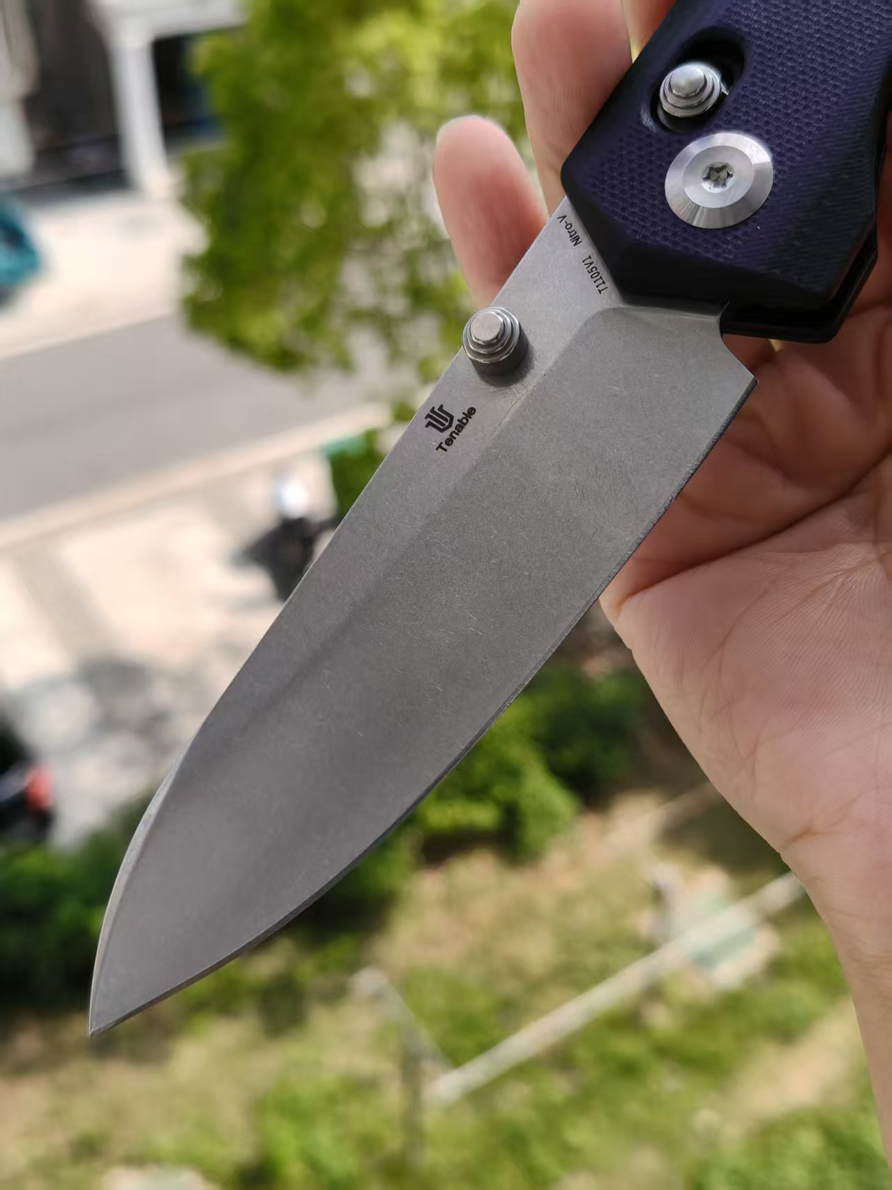 Tenable Beaver  Nitro-V钢 G10手柄 T1105V1 黑紫色 380
