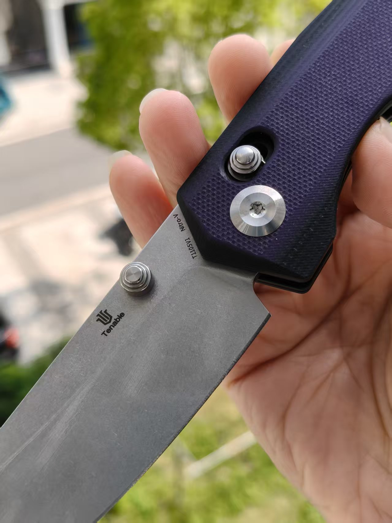 Tenable Beaver  Nitro-V钢 G10手柄 T1105V1 黑紫色 380