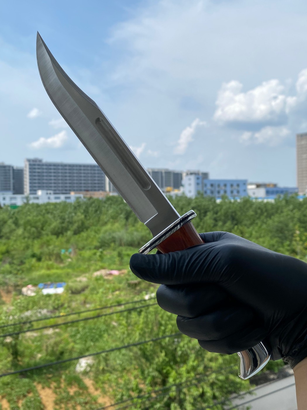 Buck knives 420HC钢 黄檀木柄 0120CCS1-B 棕色 1350