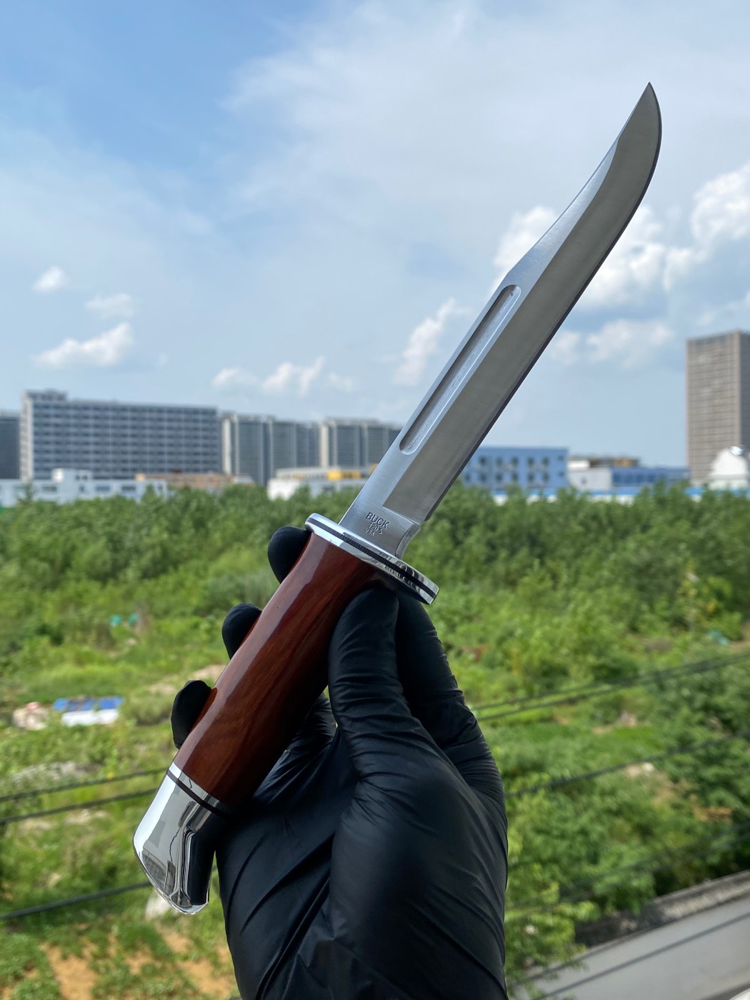 Buck knives 420HC钢 黄檀木柄 0120CCS1-B 棕色 1350
