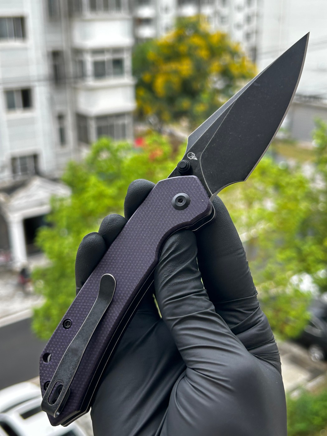 Tenable knives Fenrir Nitro-V钢 紫色G10柄 B1034H1 紫色 450