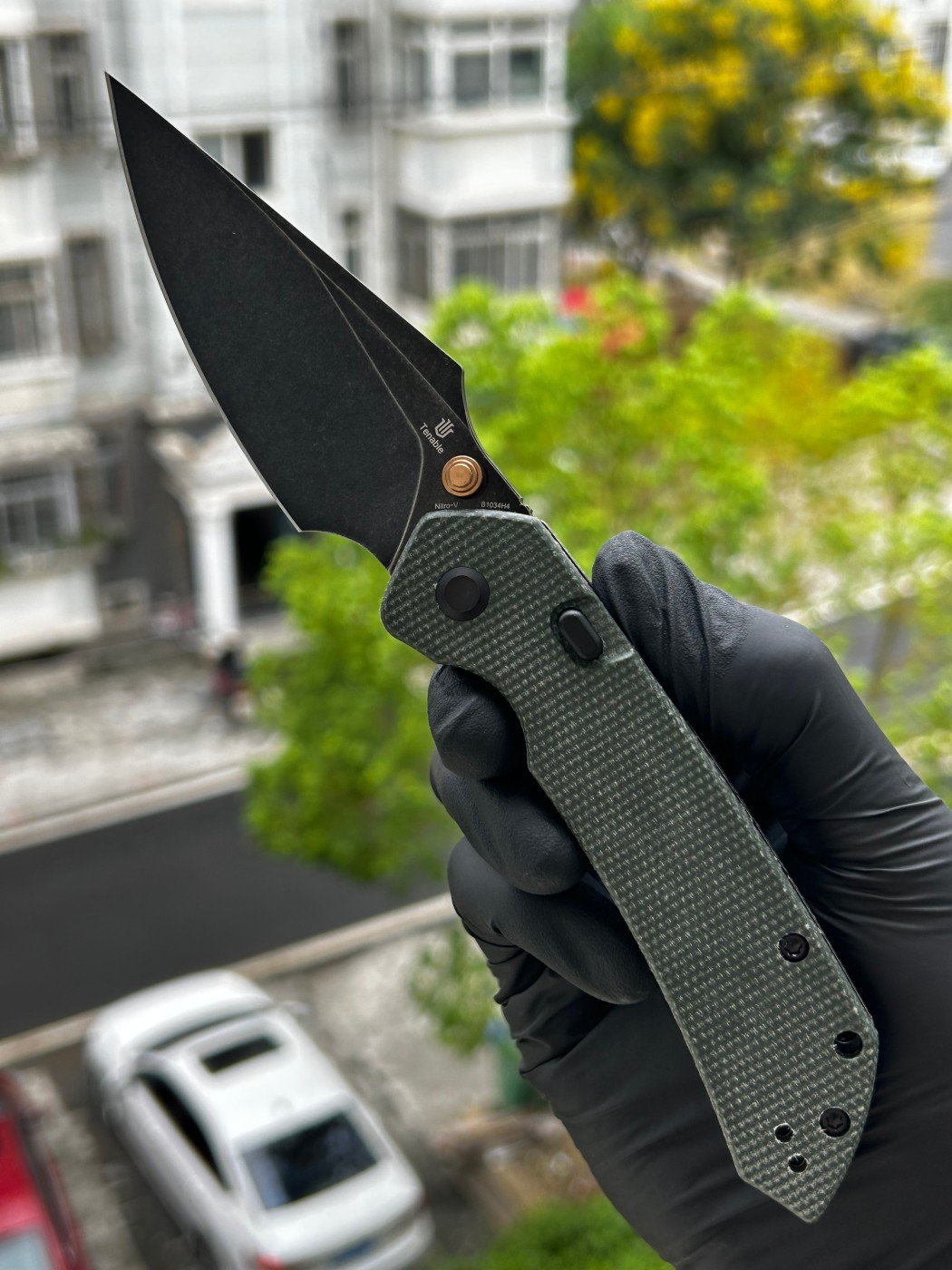 Tenable knives Fenrir Nitro-V钢 米卡塔柄 B1034H4 绿色 450