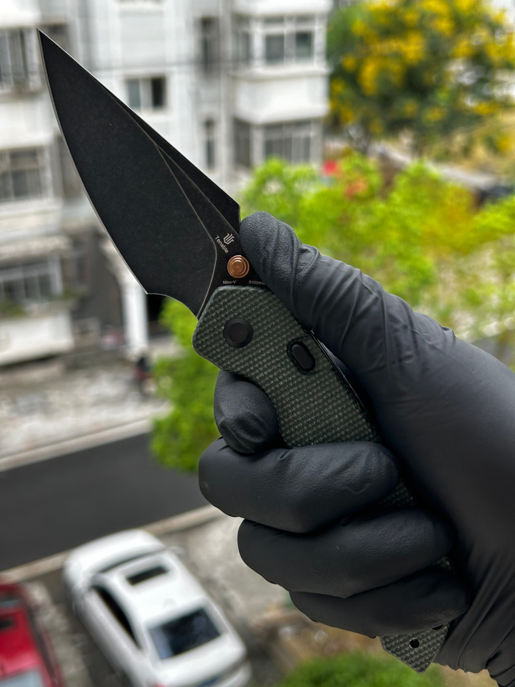 Tenable knives Fenrir Nitro-V钢 米卡塔柄 B1034H4 绿色 450